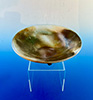 Earth Bowl
