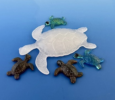 Small Sea Turtles (Each)